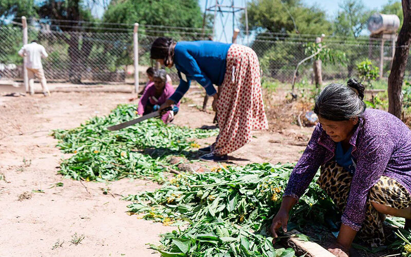 alimentaris_proyecto_carrusel_1-SAS-1