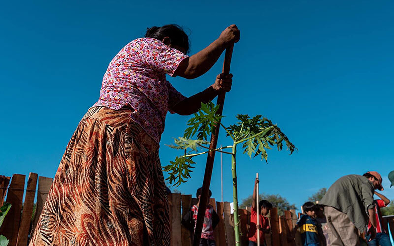 alimentaris_proyecto_carrusel_1-SAS-3