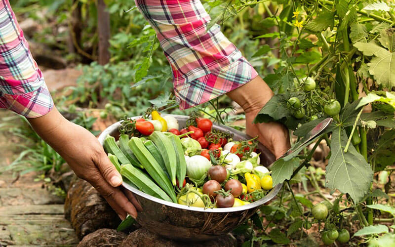 alimentaris_proyecto_carrusel_1-SAS-6