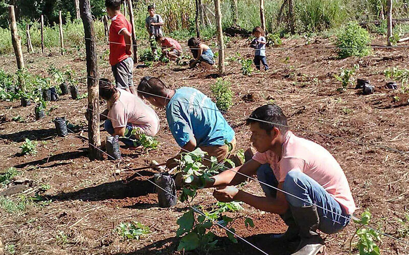 alimentaris_proyecto_carrusel_1-SAS-7