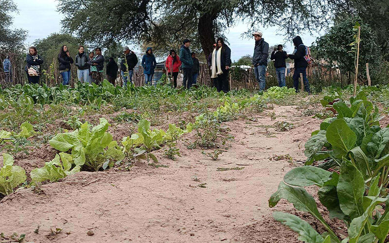 alimentaris_proyecto_carrusel_1-SAS-8