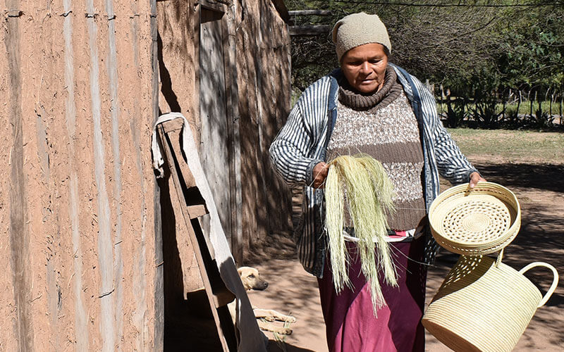 alimentaris_proyecto_carrusel_10-Fondo-Gran-Chaco-Americano-1