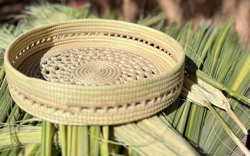 alimentaris_proyecto_carrusel_10-Fondo-Gran-Chaco-Americano-2