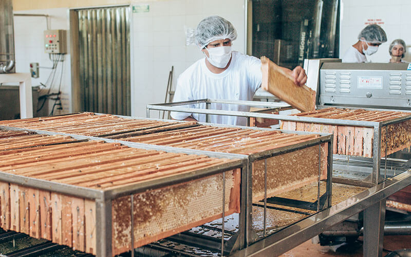 alimentaris_proyecto_carrusel_10-Fondo-Gran-Chaco-Americano-6