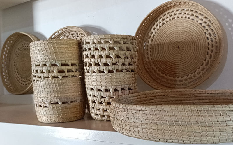 alimentaris_proyecto_carrusel_10