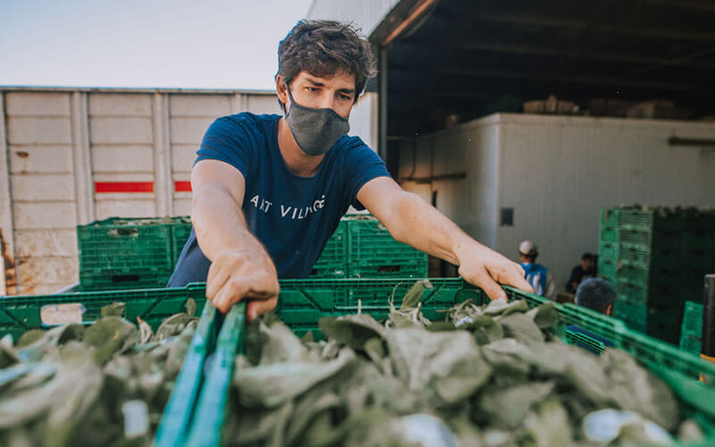 alimentaris_proyecto_carrusel_3-Al-rescate-de-Fruver-1