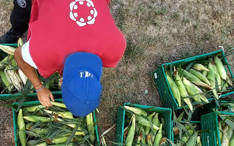 alimentaris_proyecto_carrusel_3-Al-rescate-de-Fruver-3