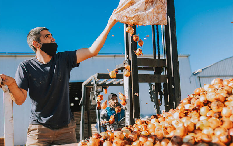 alimentaris_proyecto_carrusel_3-Al-rescate-de-Fruver-5