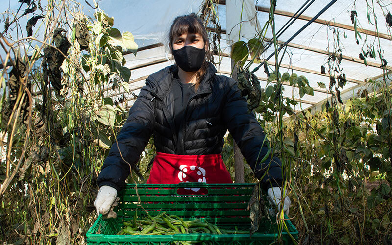 alimentaris_proyecto_carrusel_3-Al-rescate-de-Fruver-6