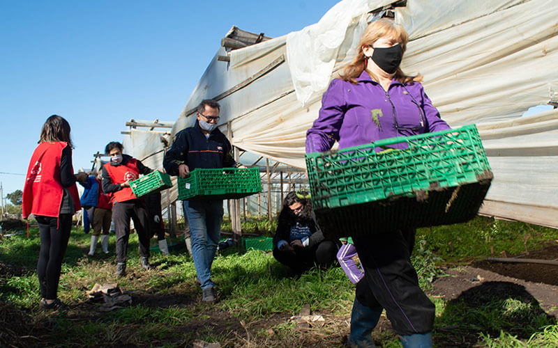 alimentaris_proyecto_carrusel_3-Al-rescate-de-Fruver-8