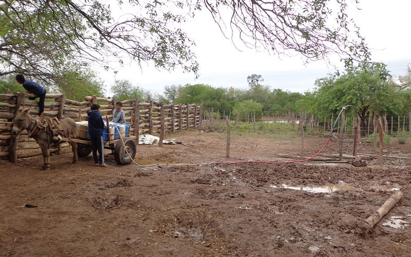 alimentaris_proyecto_carrusel_6-Soluciones-para-agua-4