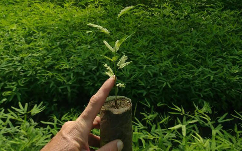 alimentaris_proyecto_carrusel_9-Fondo-Covida-20-1